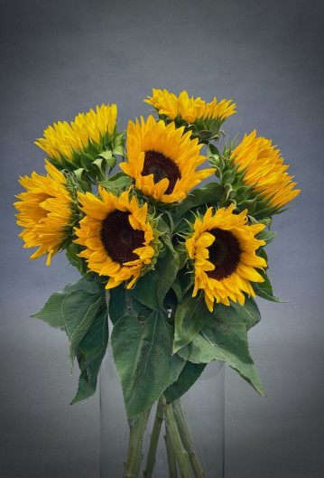 Simply Sunflowers